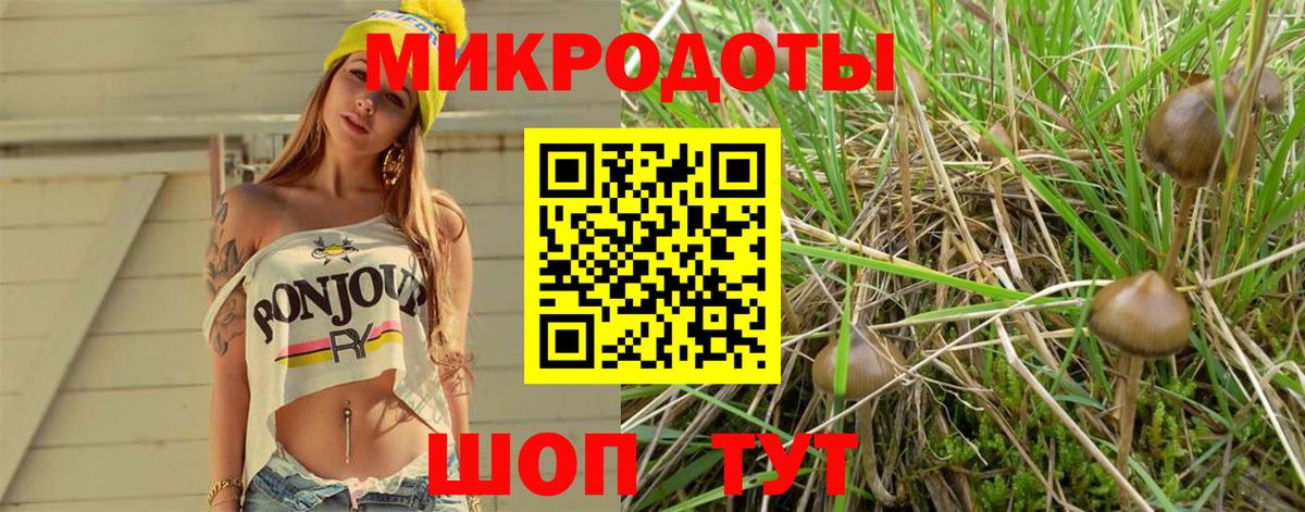 Янаул  Галлюциногенные грибы Psilocybe  купить   Вход с VPN 